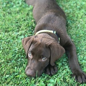 Meet your Posher, Tiffany